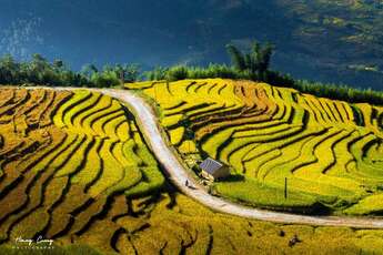 La saison du riz mûr dans les hautes montagnes du Nord du Vietnam