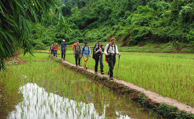 Les 10 meilleures activités écotouristiques à faire à Luang Prabang