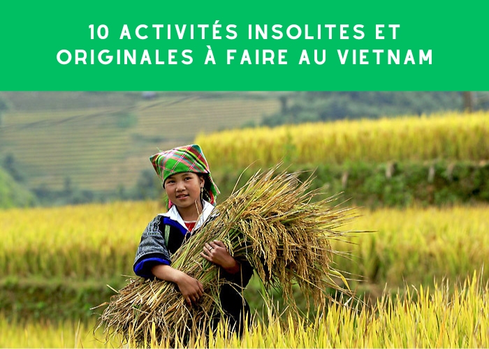 Les 10 activités insolites et originales à faire au Vietnam