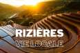 /rizieres-nord-vietnam