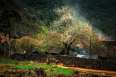 /des-plus-beaux-villages-a-ha-giang