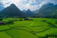 /lam-thuong-yen-bai