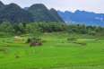 /circuit-8jours-nord-vietnam