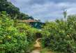 /muong-phang-de-dien-bien-quand-la-memoire-devient-un-voyage