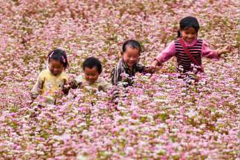 6 plats typiques d&rsquo;Ha Giang &agrave; tester lorsque le sarrasin est en fleur