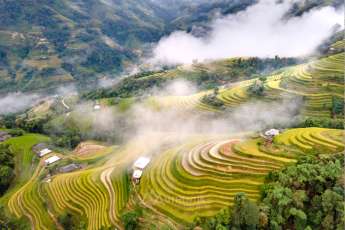 Les rizi&egrave;res en terrasse de Hoang Su Phi, patrimoine naturel de Ha Giang
