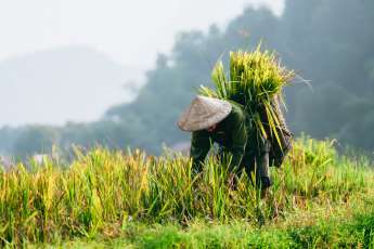 Voyage au Vietnam : Nos coups de cœur incontournables (partie 1)