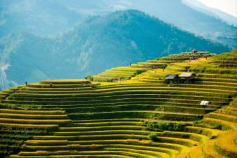 L'extraordinaire richesse du patrimoine culturel et naturel du Nord-Ouest du Vietnam
