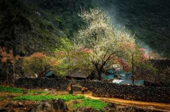 Top des plus beaux villages &agrave; d&eacute;couvrir &agrave; H&agrave; Giang