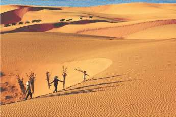 Découvrez les 7 dunes de sable les plus impressionnantes du Vietnam