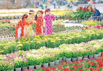 Explorez la beauté florale de Hanoi : Marchands de fleurs et jardins enchanteurs