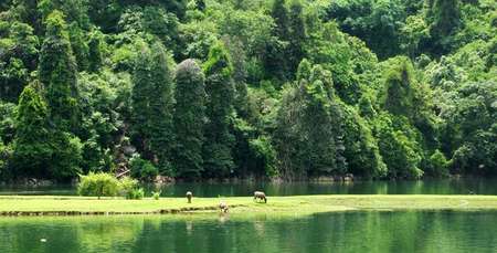 Le lac de Ba Be, joyau vert au nord Vietnam