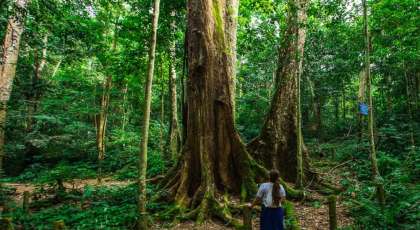 Le parc national de Cuc Phuong à Ninh Binh – Meilleur parc national d’Asie