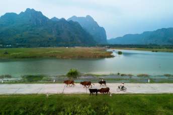 La réserve naturelle de Van Long : Une baie sereine à Ninh Binh