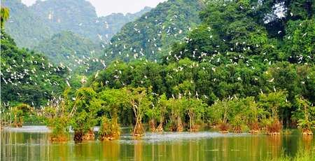 Thung Nham, un écosystème exceptionnel de Ninh Binh