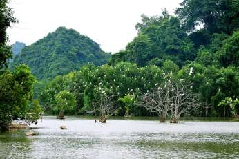 Thung Nham : Joyau caché de la baie d’Halong terrestre