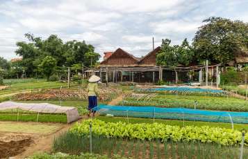 Trois villages vietnamiens parmi les meilleurs villages touristiques au monde, selon l'UNWTO