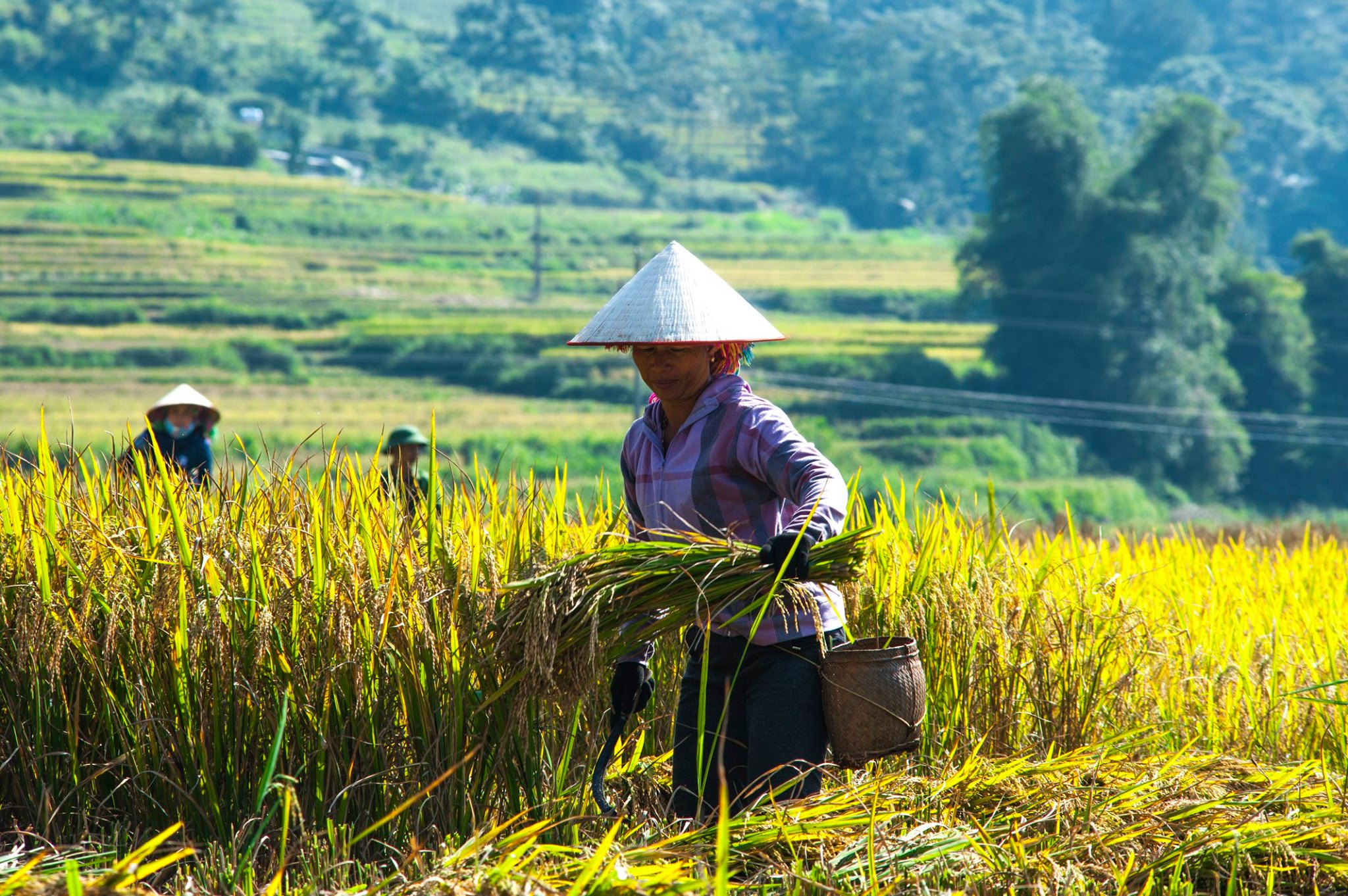 3 événements incontournables à découvrir au Vietnam en septembre