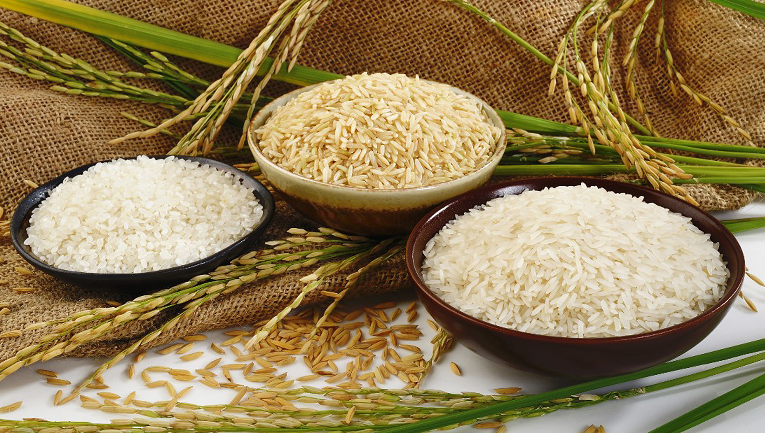 Le riz dans la cuisine vietnamienne : un élément central et polyvalent