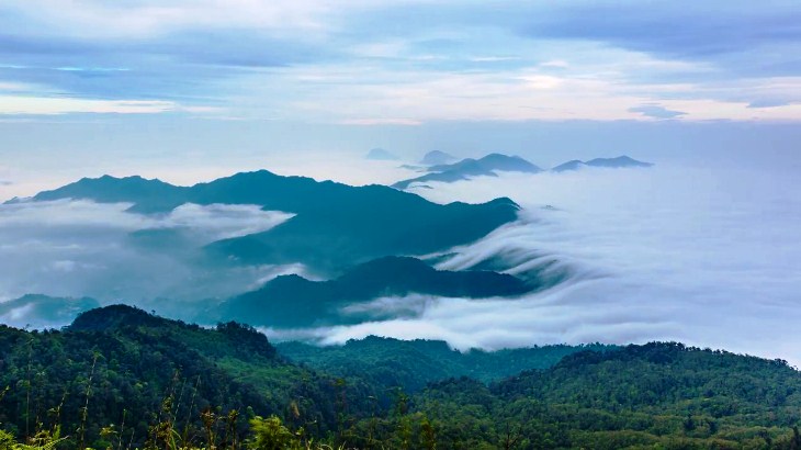Chieu Lau Thi, province Ha Giang, la belle forêt vierge du nord-est