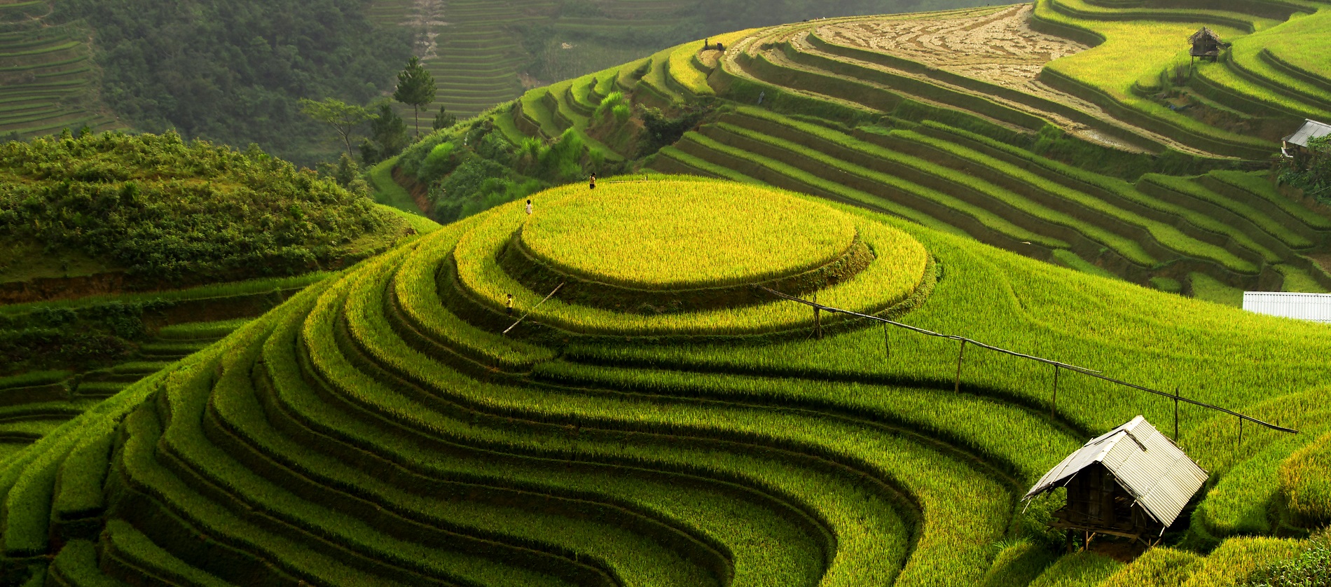 Vietnam, Laos ou Cambodge : quel pays choisir pour un premier voyage en Asie du Sud-Est ?