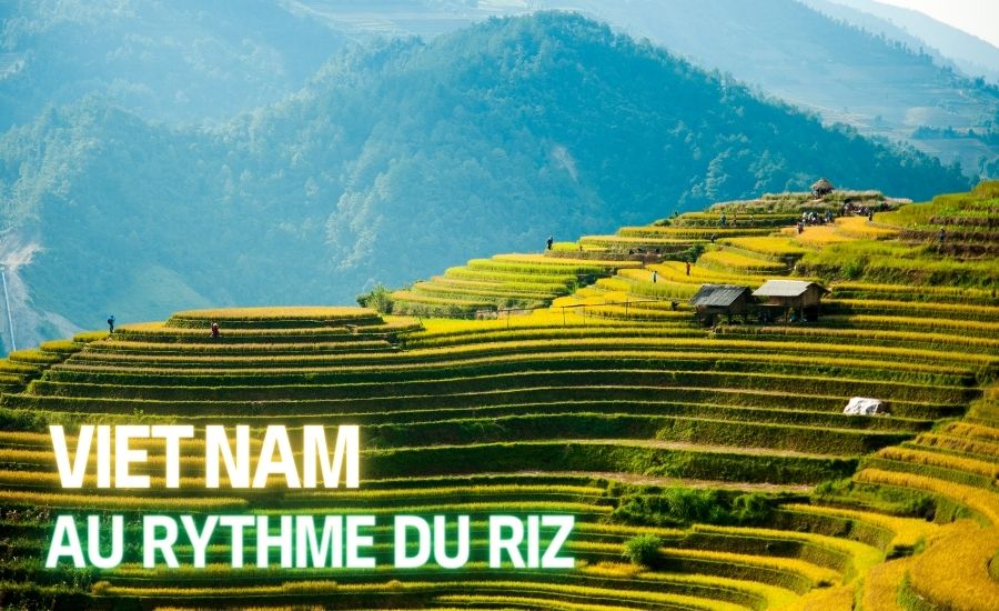 Voyagez au Vietnam au rythme du riz