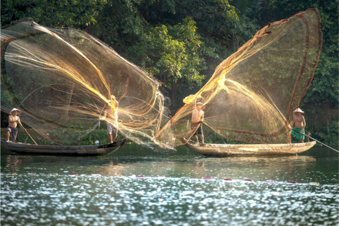 La vie des p&ecirc;cheurs vietnamiens : entre le delta du M&eacute;kong et la c&ocirc;te Centrale