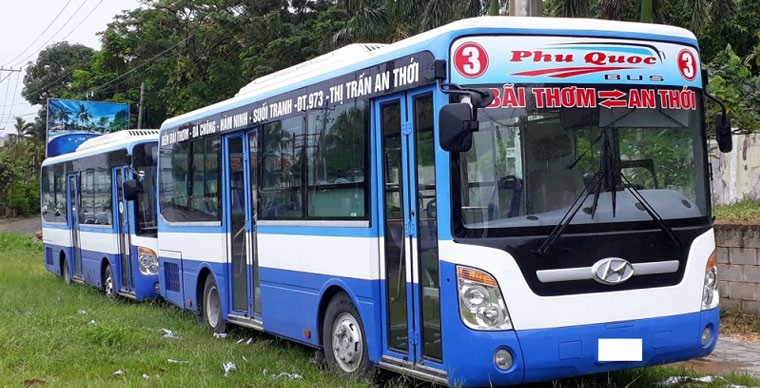 Bientôt, lancement de 3 lignes de bus sur l’île de Phu Quoc
