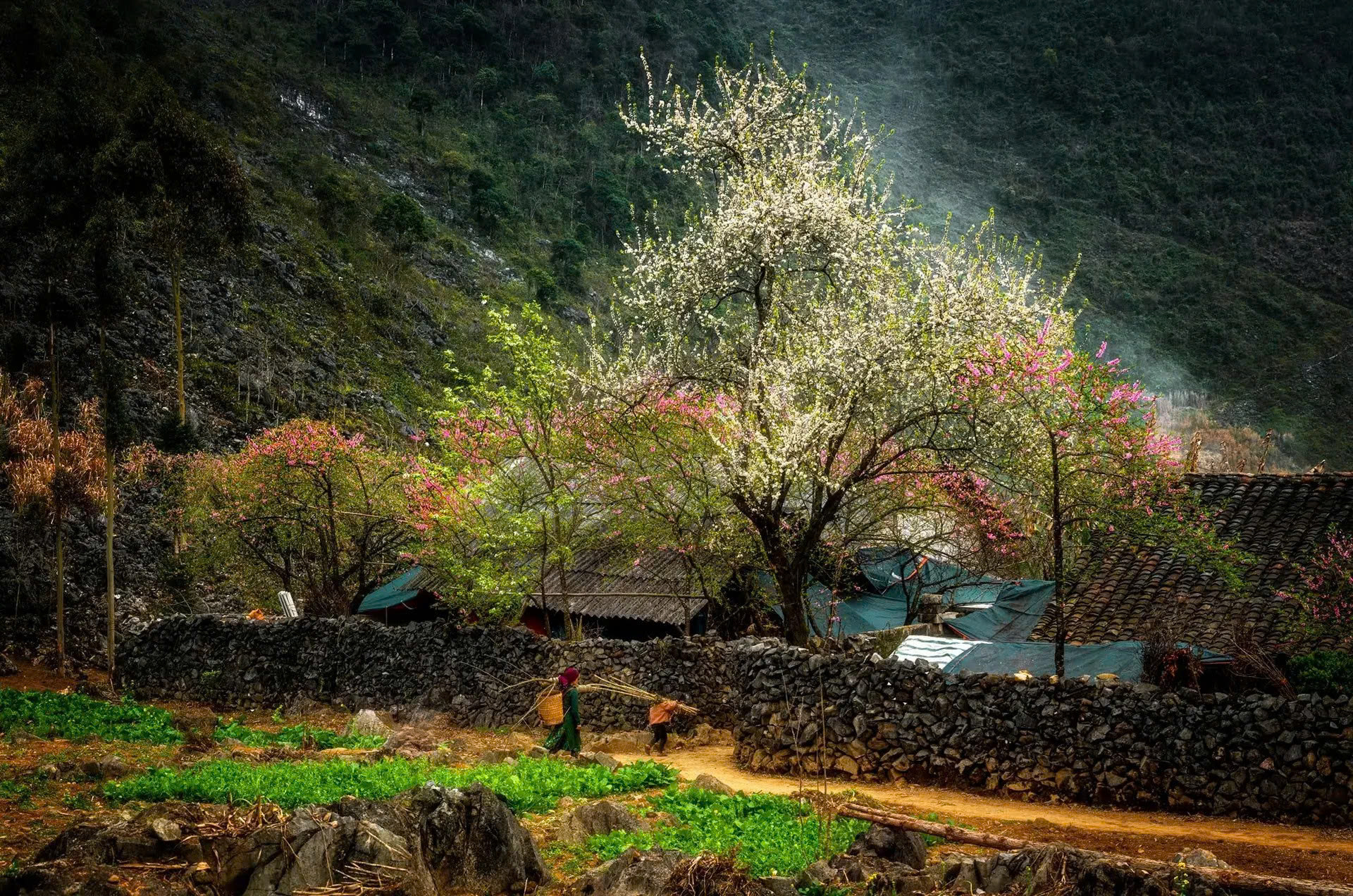 Top des plus beaux villages &agrave; d&eacute;couvrir &agrave; H&agrave; Giang