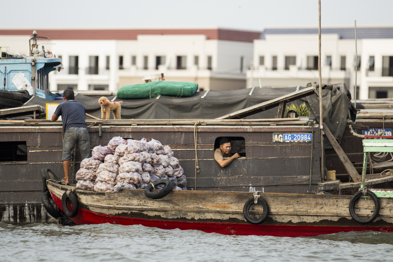 Long Xuyên 2025 : Un marché flottant vivant…mais fragile