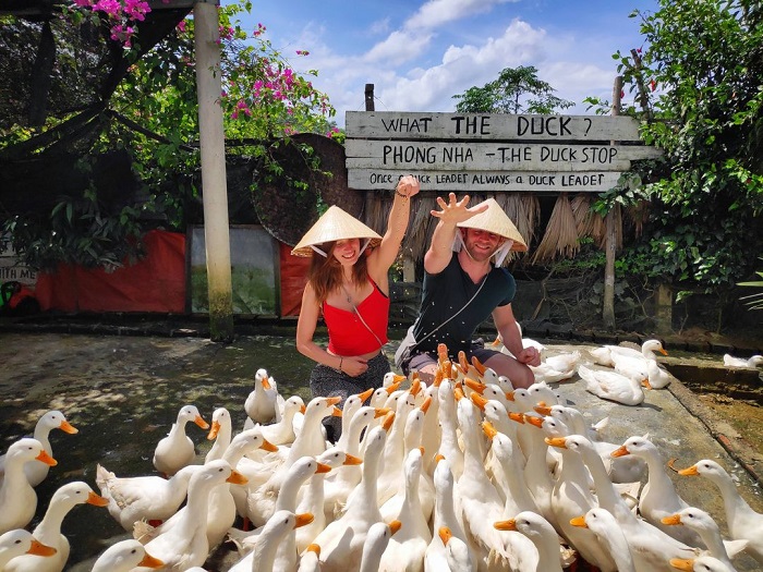 Se faire masser par les canards à Phong Nha