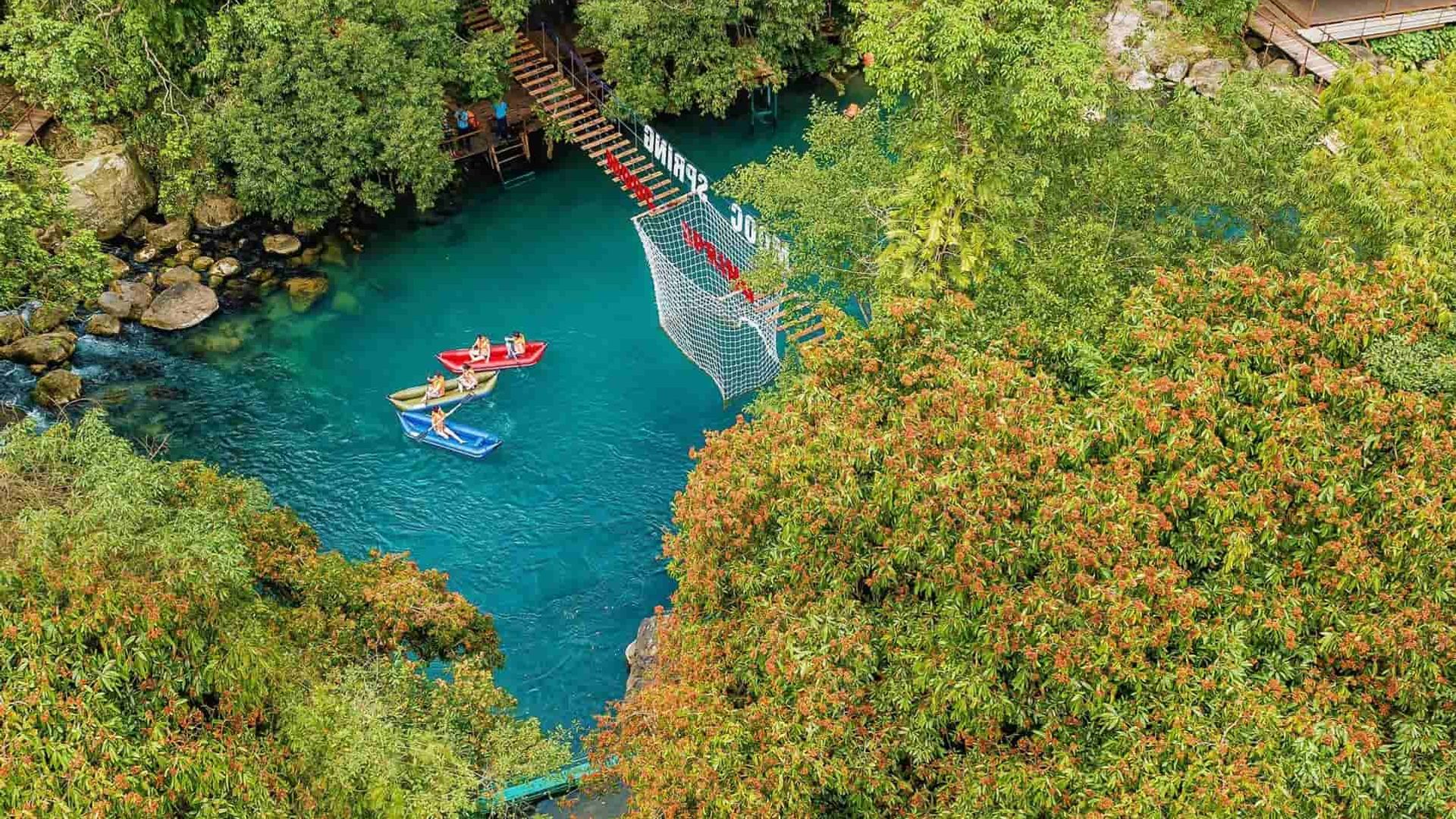 Ruisseau Mooc: Votre Évasion Éco-Aventure à Phong Nha