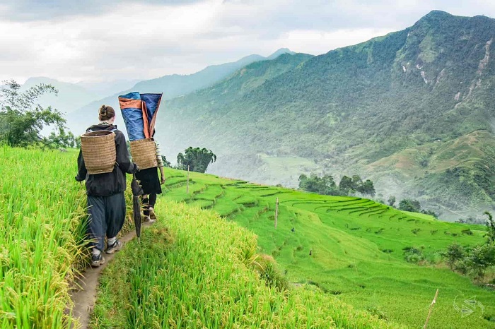 Top 9 des sentiers de randonnée au Vietnam