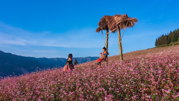 Suôi Thâu : une mini-Europe au cœur de Hà Giang