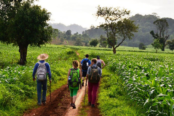Top 5 des plus belles randonnées en Birmanie 