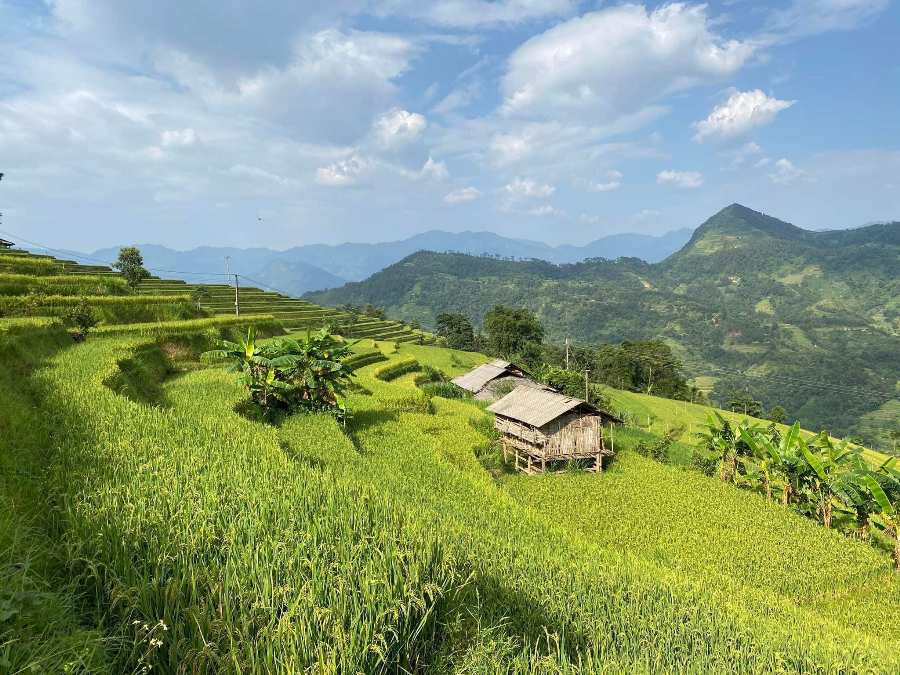Vietnam en juillet: Météo, meilleures destinations à visiter, idées de circuit
