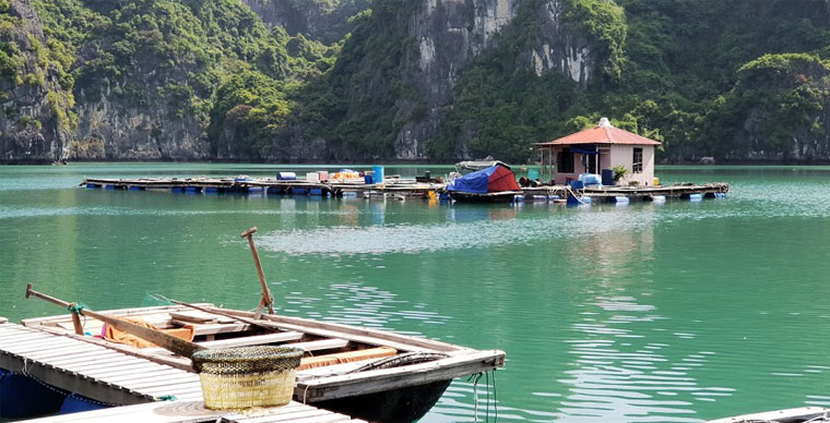 3 villages de pêcheurs à visiter à la baie d'Halong