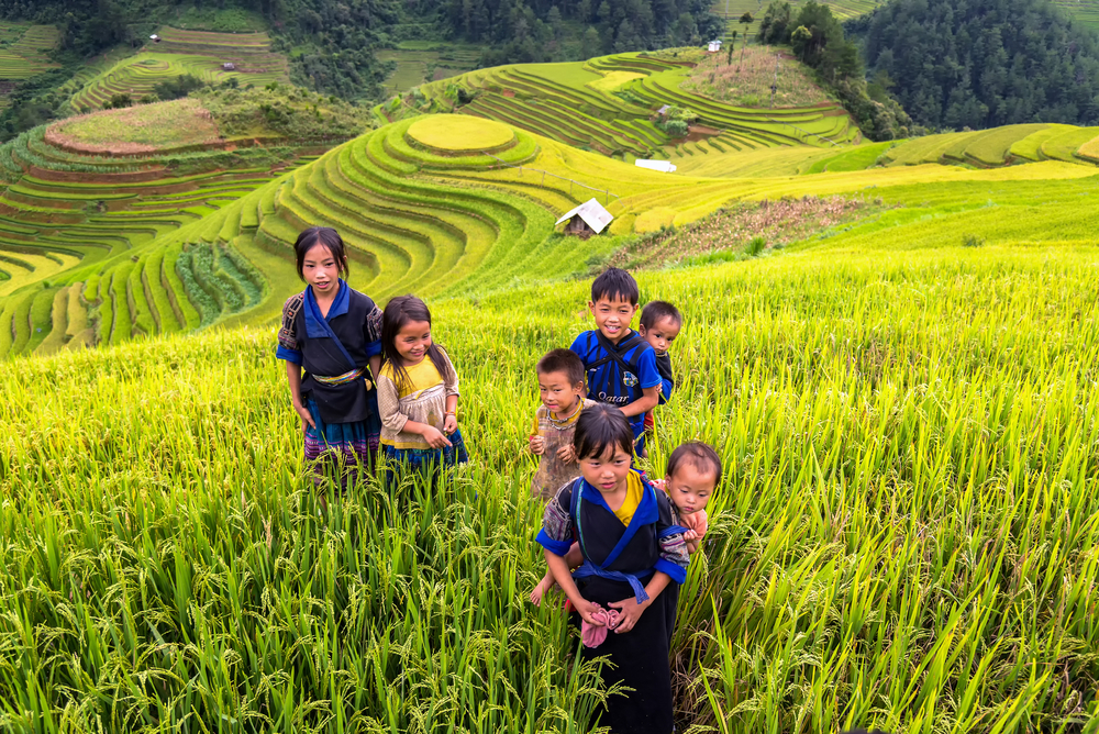 rizieres Mu Cang Chai