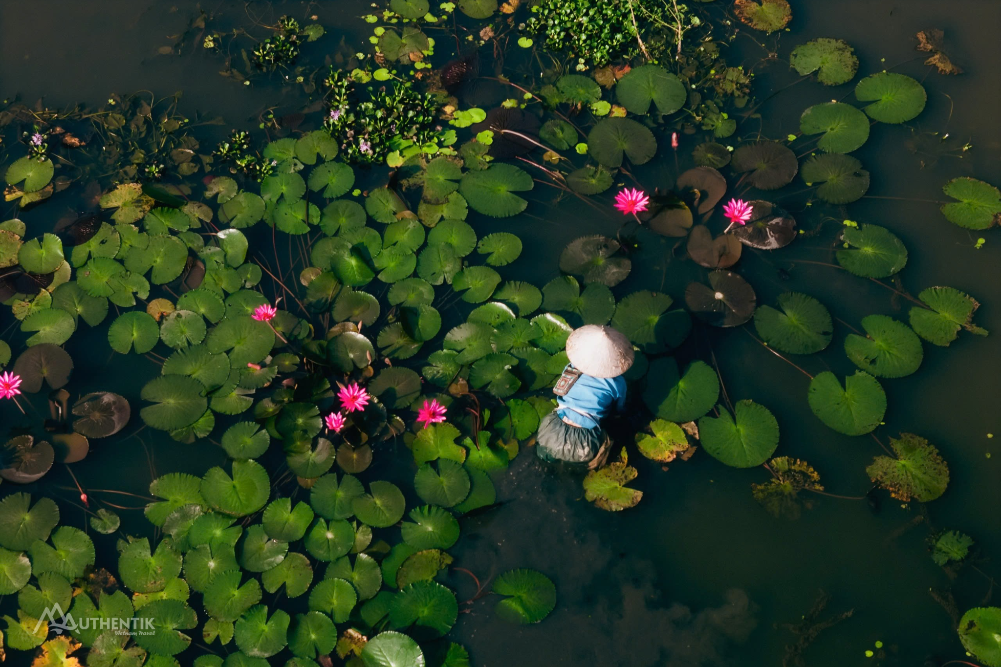 Photo : Authentik Vietnam 