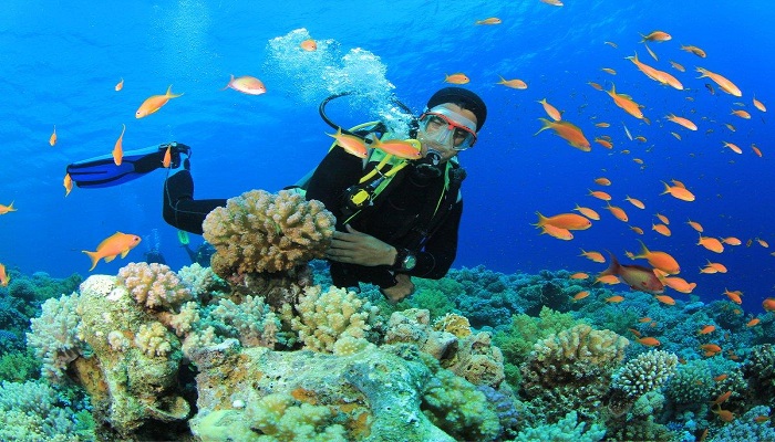 poulo condore vietnam con dao plongée récifs coraux