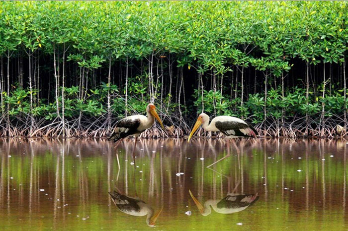 Poulo Condore Con Dao Vietnam parc national 
