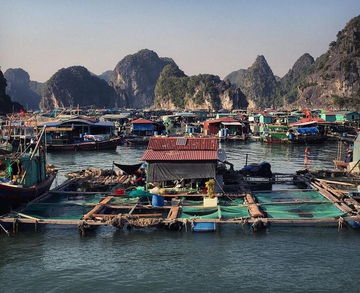 villages pêcheurs baie d'halong, villages pêcheurs cai beo, baie d'halong du vietnam, halong que voir que faire, île de cat ba, baie de lan ha