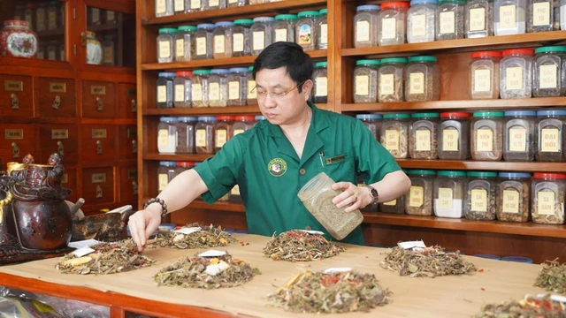 Praticien vietnamien pesant des plantes médicinales sur une balance en cuivre dans une officine traditionnelle
