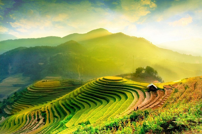 chose faire Ha Giang, hoang su phi, riziere en terrasse, 11 meilleures choses à faire à Ha Giang 