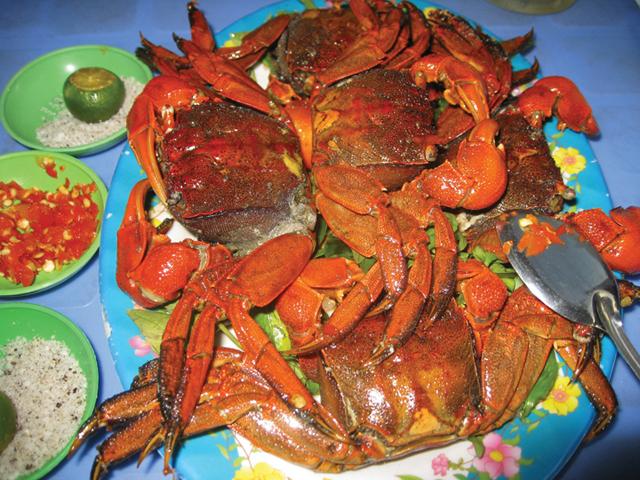 Le ch&ugrave; ụ est une sp&eacute;cialit&eacute; des c&ocirc;tes de Tr&agrave; Vinh, souvent cuisin&eacute;e avec une sauce au tamarin. Sa carapace bossel&eacute;e lui donne une allure &eacute;tonnante, mais c&rsquo;est surtout sa chair tendre et savoureuse qui vaut le d&eacute;tour
