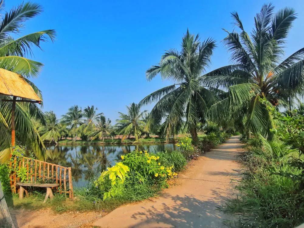 Cồn H&ocirc;, une petite &icirc;le verdoyante au c&oelig;ur du M&eacute;kong, o&ugrave; l&rsquo;on prend le temps de d&eacute;couvrir la vie paisible des habitants et les jardins tropicaux.
