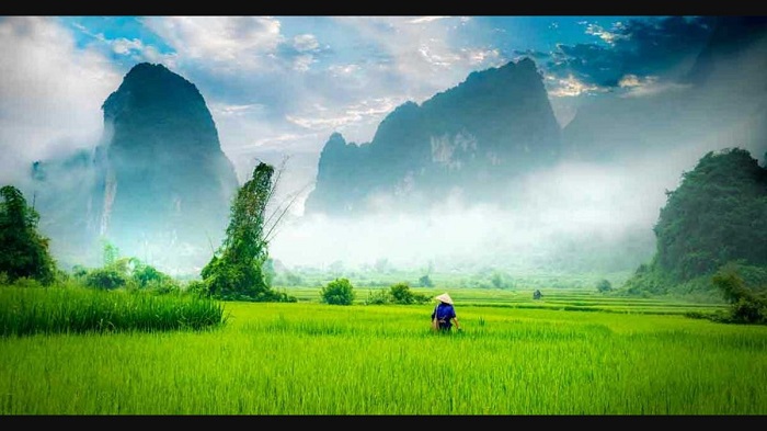conseils voyage personnes agees Vietnam paysage