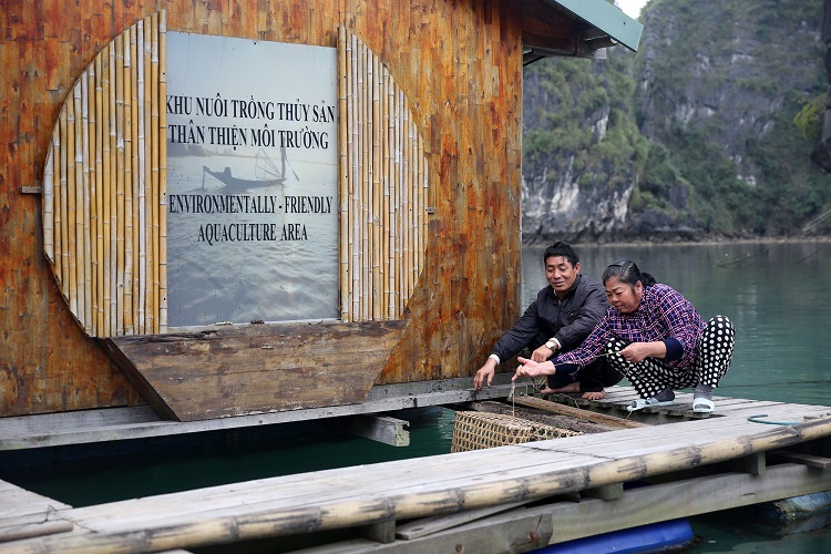 Culture villages pêcheurs baie Halong aquaculture