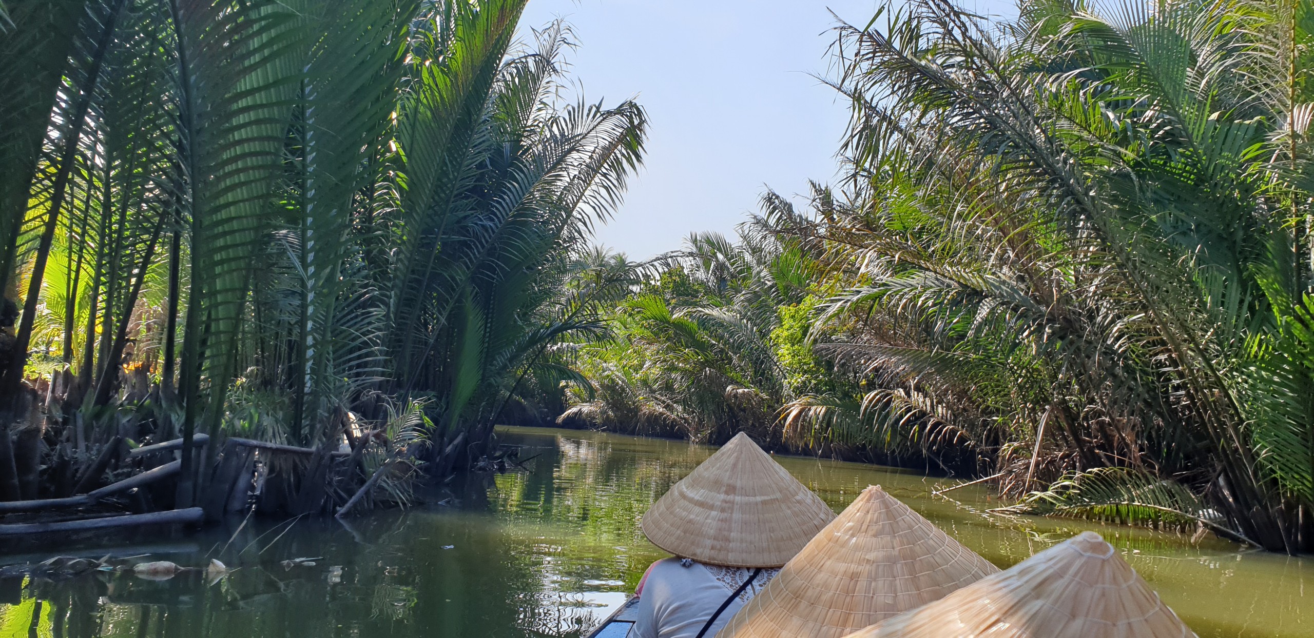 delta du mekong, vietnam, promenade en bateau au vietnam, promenade dans le delta du mekong, excursion en bateau dans la delta du mekong, barque au vietnam, endroits pour faire une excursion en bateau au vietnam