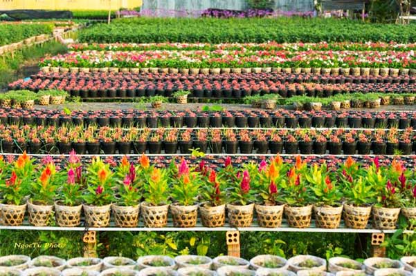 visiter delta mekong village horticole